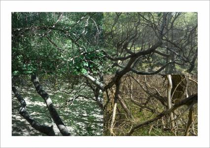 Paysages soudés 11b sur 38, de Nicolas Lespagnol The Art Cycle