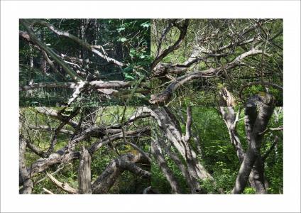 Paysages soudés 11 sur 38, de Nicolas Lespagnol The Art Cycle