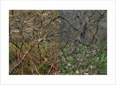 Paysages soudés 13 sur 38, de Nicolas Lespagnol The Art Cycle