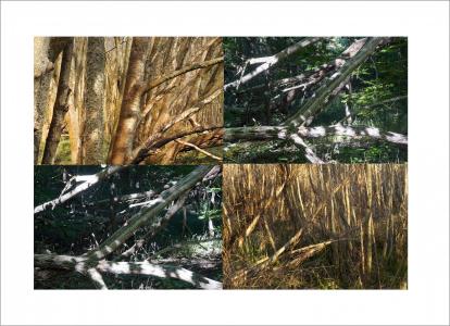 Paysages soudés 14 sur 38, de Nicolas Lespagnol The Art Cycle