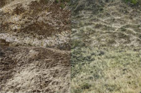 Paysages soudés 15 sur 38, de Nicolas Lespagnol The Art Cycle