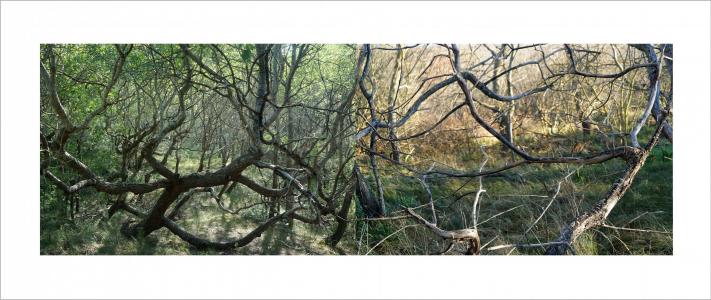 Paysages soudés 16 sur 38, de Nicolas Lespagnol The Art Cycle