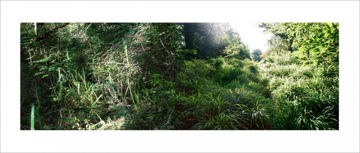 Paysages soudés 17 sur 38, de Nicolas Lespagnol The Art Cycle