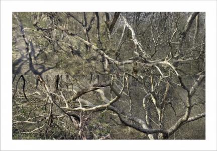 Paysages soudés 2 sur 38, de Nicolas Lespagnol The Art Cycle