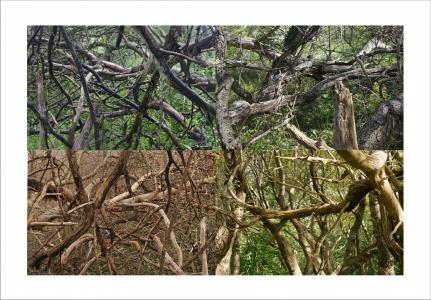 Paysages soudés 3 sur 38, de Nicolas Lespagnol The Art Cycle