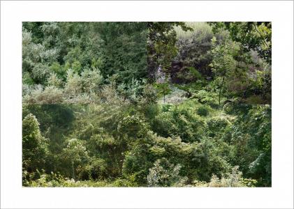 Paysages soudés 4 sur 38, de Nicolas Lespagnol The Art Cycle