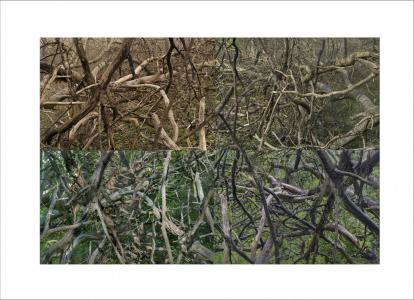 Paysages soudés 5 sur 38, de Nicolas Lespagnol The Art Cycle