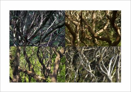 Paysages soudés 6 sur 38, de Nicolas Lespagnol The Art Cycle