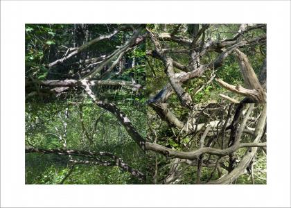 Paysages soudés 8 sur 38, de Nicolas Lespagnol The Art Cycle