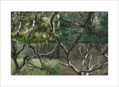 Paysages soudés 9 sur 38, de Nicolas Lespagnol The Art Cycle