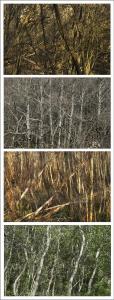 Typologie 11 sur 11, de Nicolas Lespagnol The Art Cycle