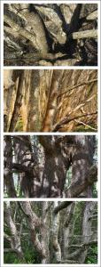 Typologie 1 sur 11, de Nicolas Lespagnol The Art Cycle