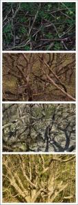 Typologie 3 sur 11, de Nicolas Lespagnol The Art Cycle