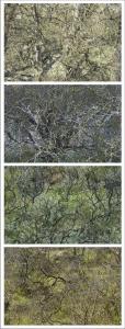 Typologie 5 sur 11, de Nicolas Lespagnol The Art Cycle