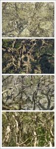 Typologie 8 sur 11, de Nicolas Lespagnol The Art Cycle