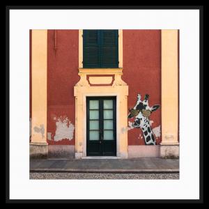 Genoa Gir04, de Paul Coutard The Art Cycle