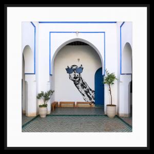 Marrakech Camel02, de Paul Coutard The Art Cycle