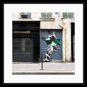 Paris Gir03, de Paul Coutard The Art Cycle