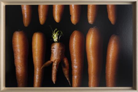 AnormaL 1, de Pierre Chancy The Art Cycle