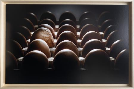 AnormaL 2, de Pierre Chancy The Art Cycle