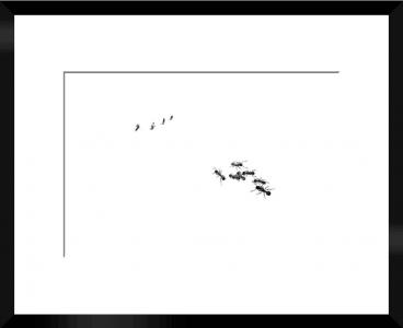 Minuscule N03, de Raphael Laruga The Art Cycle