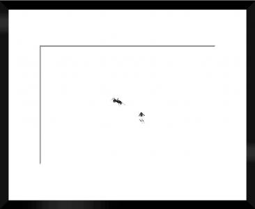 Minuscule N06, de Raphael Laruga The Art Cycle