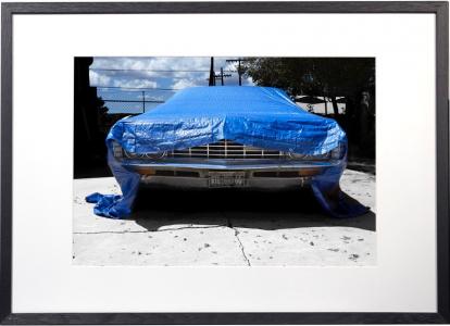 Blue Impala, de Richard Fremont The Art Cycle