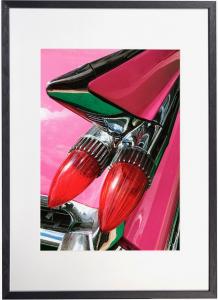 Pink Eldorado, de Richard Fremont The Art Cycle