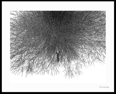 Hypertélie, de Scowcza . The Art Cycle