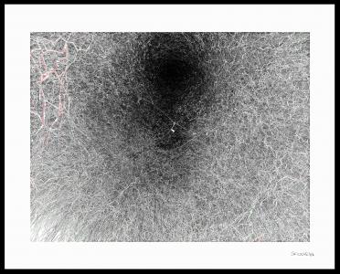 Mycélium abyssal, de Scowcza . The Art Cycle