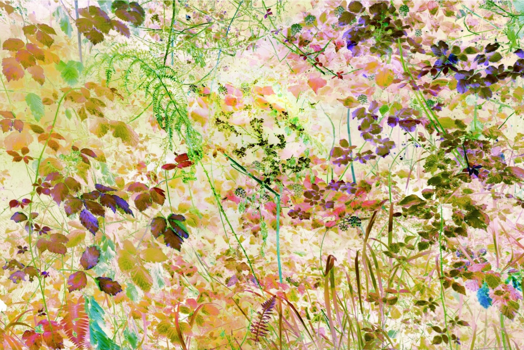Broderie 2 sur 7, de Nicolas Lespagnol The Art Cycle