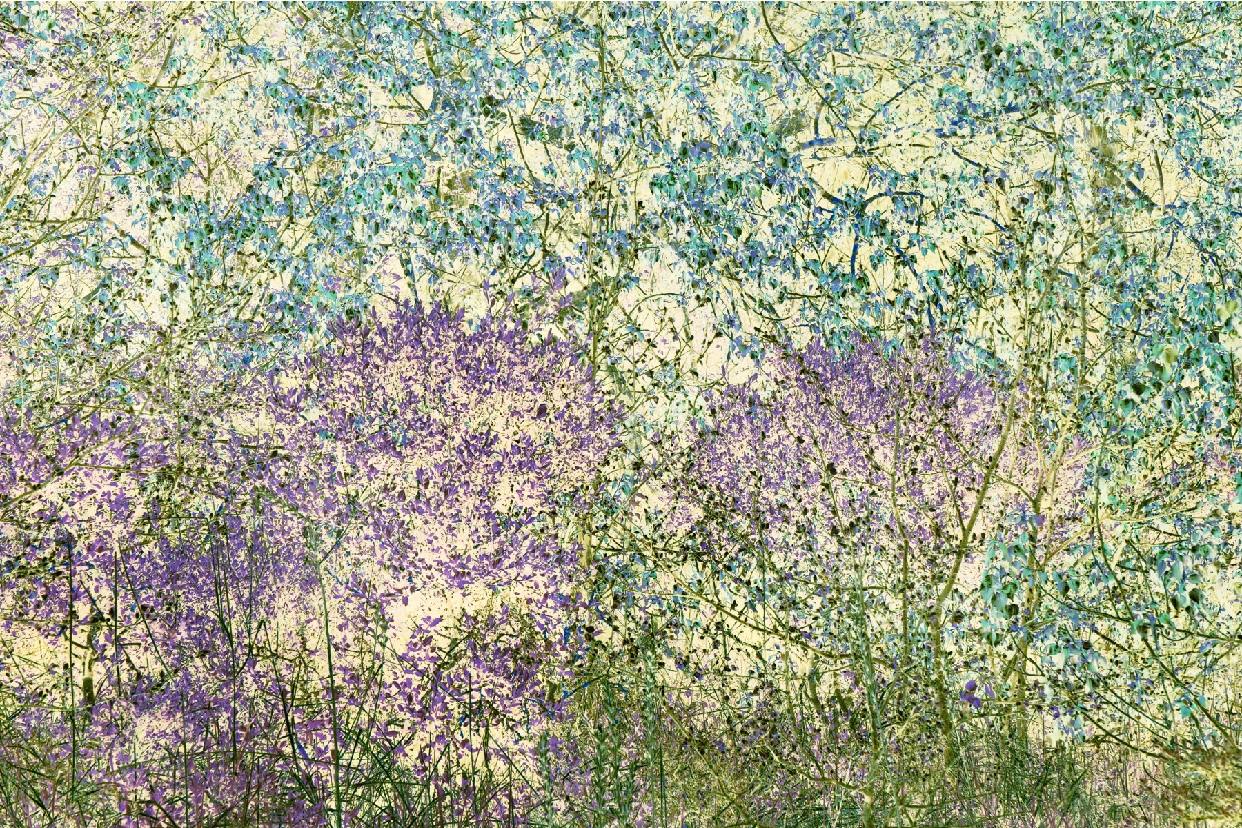 Broderie 4 sur 7, de Nicolas Lespagnol The Art Cycle