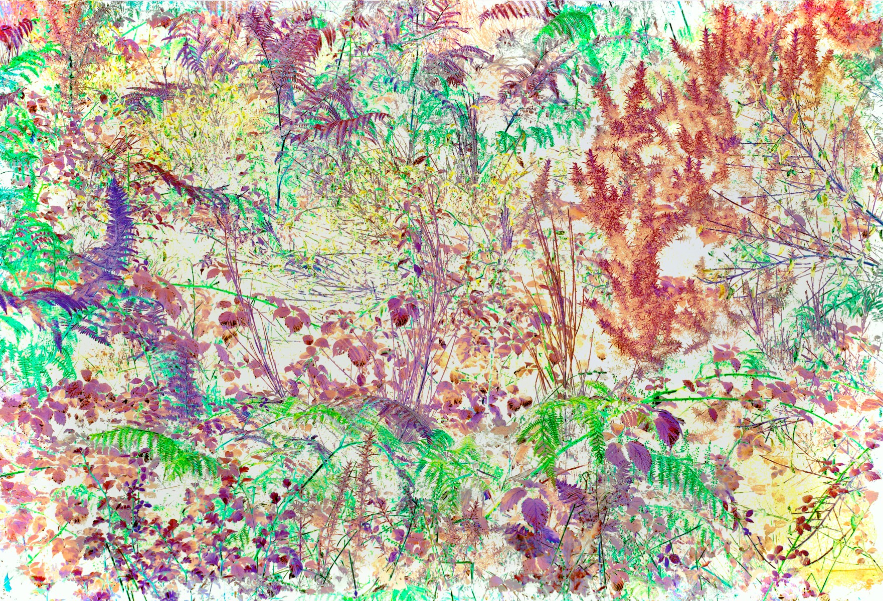 Broderie 5 sur 7, de Nicolas Lespagnol The Art Cycle