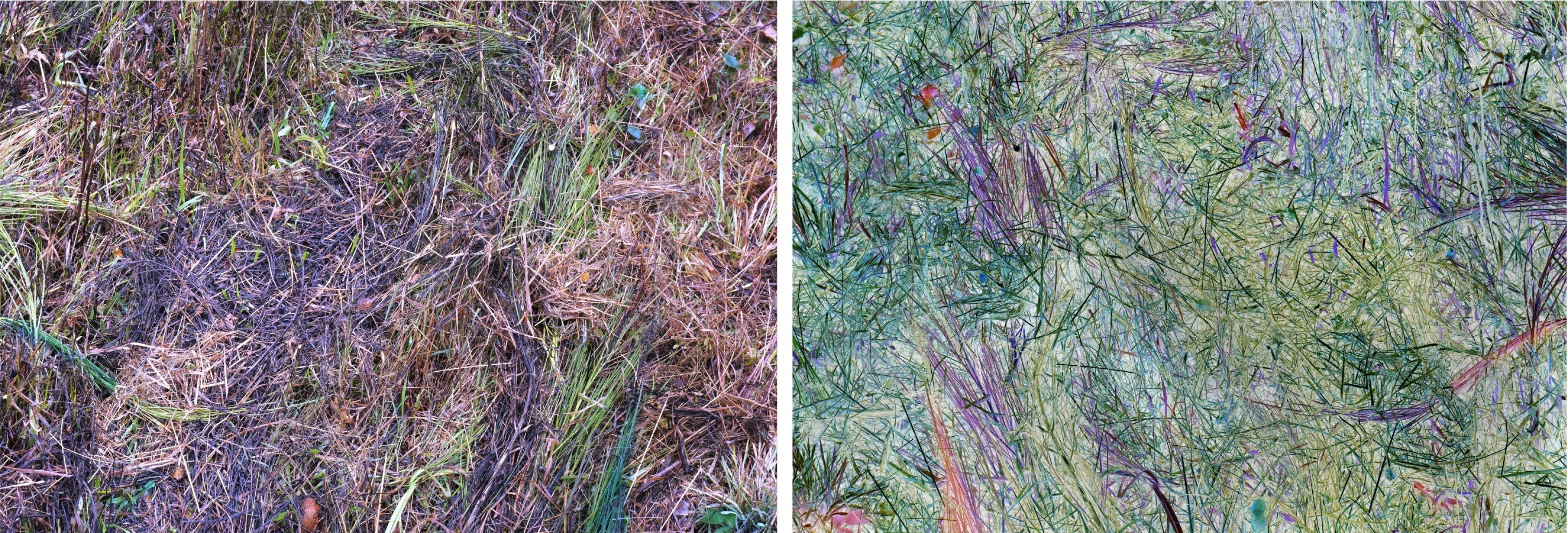 Les contraires sont vrais 2 sur 11, de Nicolas Lespagnol The Art Cycle