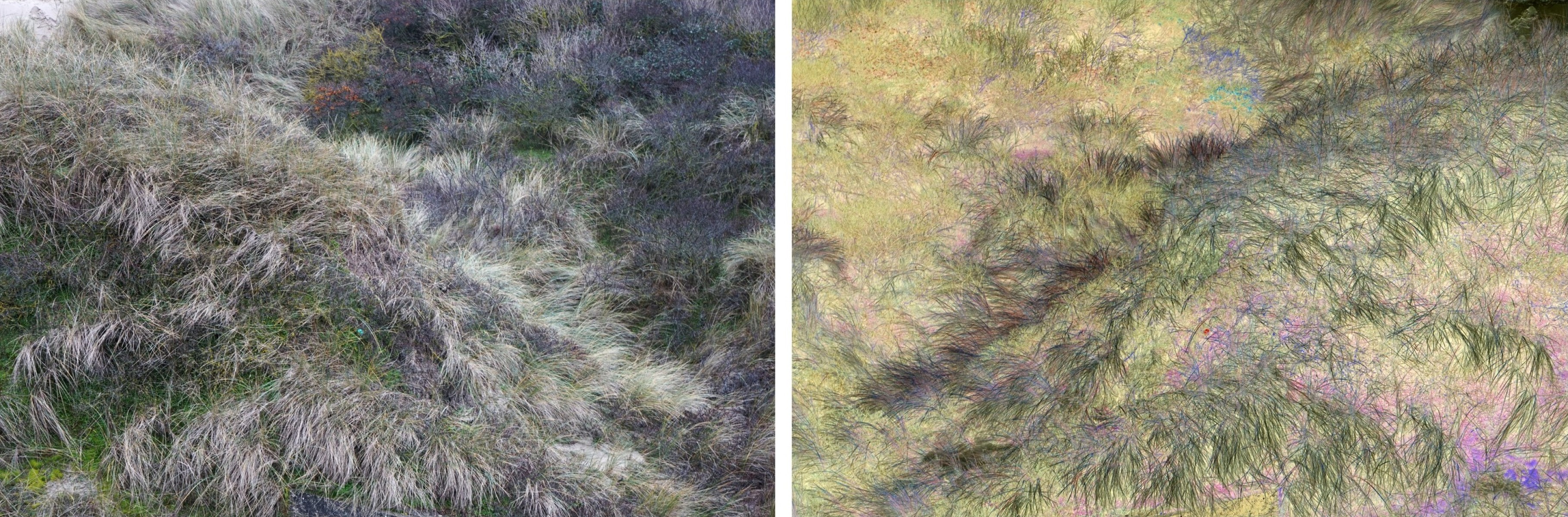 Les contraires sont vrais 3 sur 11, de Nicolas Lespagnol The Art Cycle