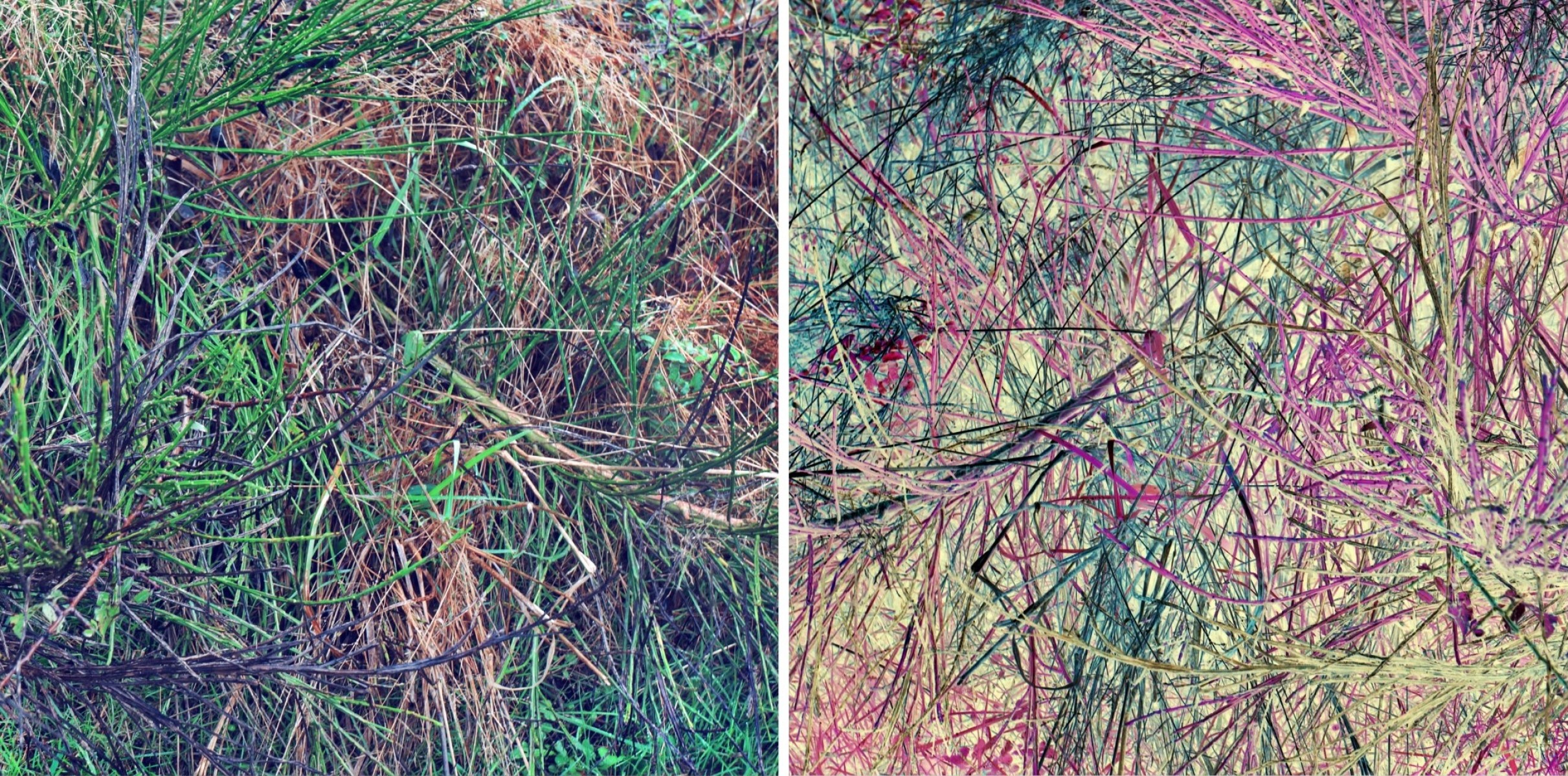 Les contraires sont vrais 5 sur 11, de Nicolas Lespagnol The Art Cycle