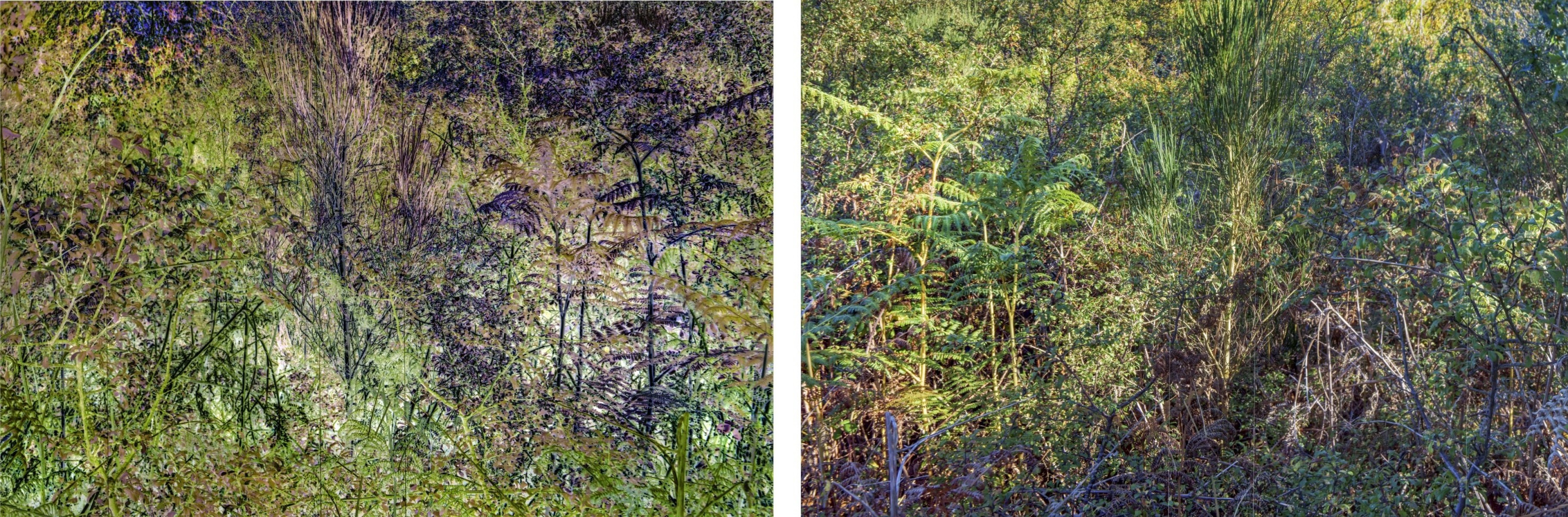 Les contraires sont vrais 6 sur 11, de Nicolas Lespagnol The Art Cycle