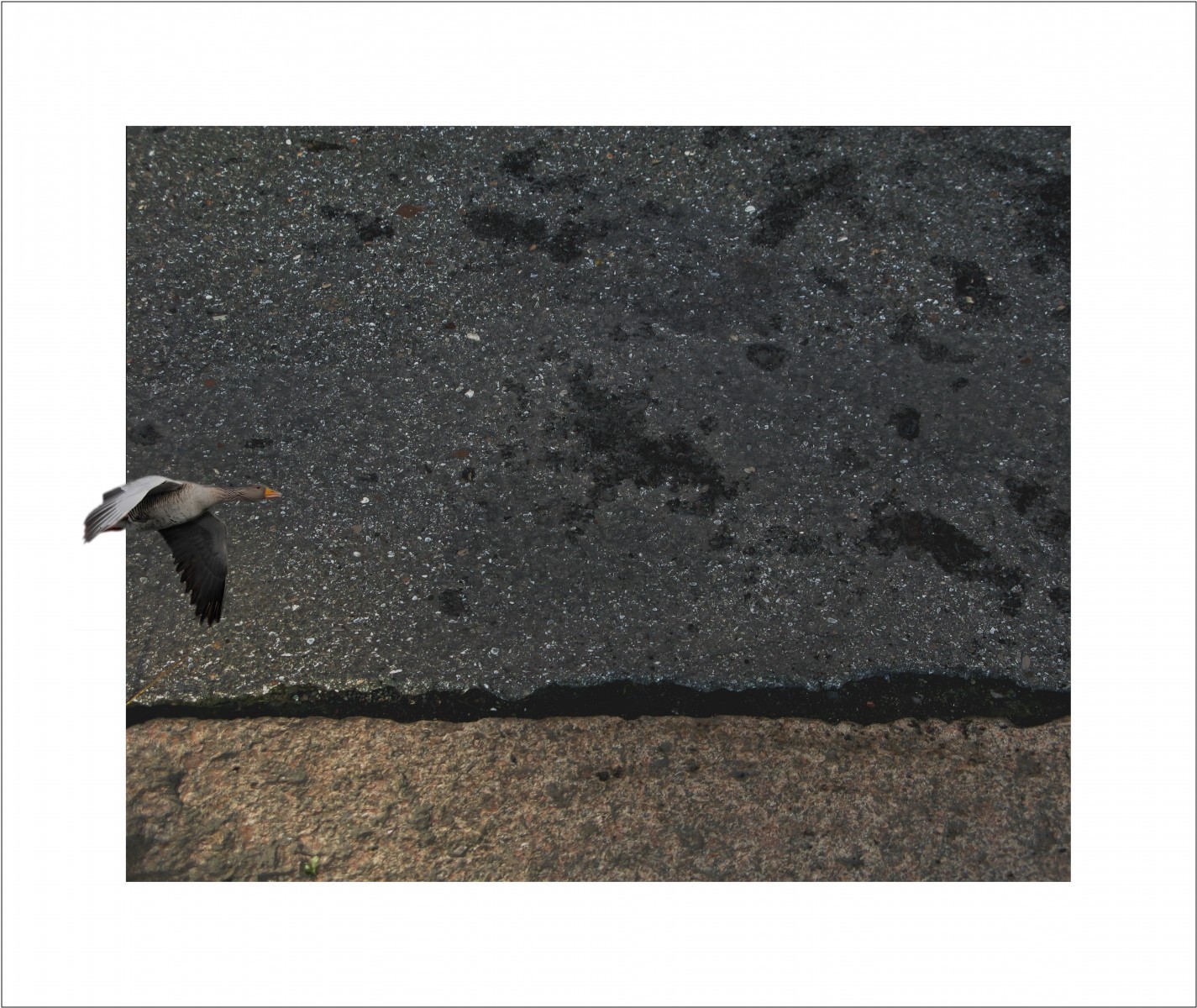 Paysage de bitume 5 sur 6, de Nicolas Lespagnol The Art Cycle