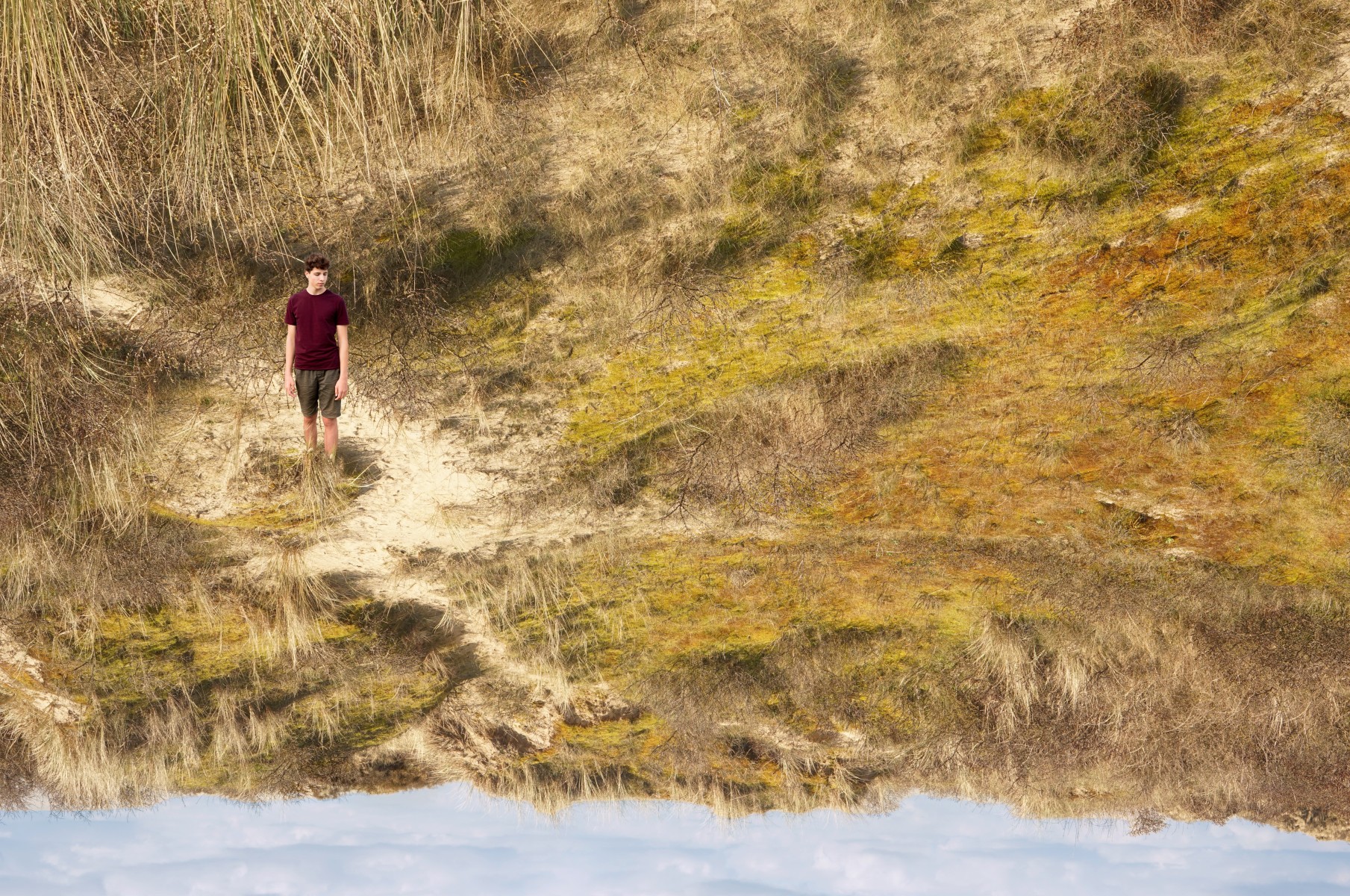 Paysage inversé 9 sur 35, de Nicolas Lespagnol The Art Cycle