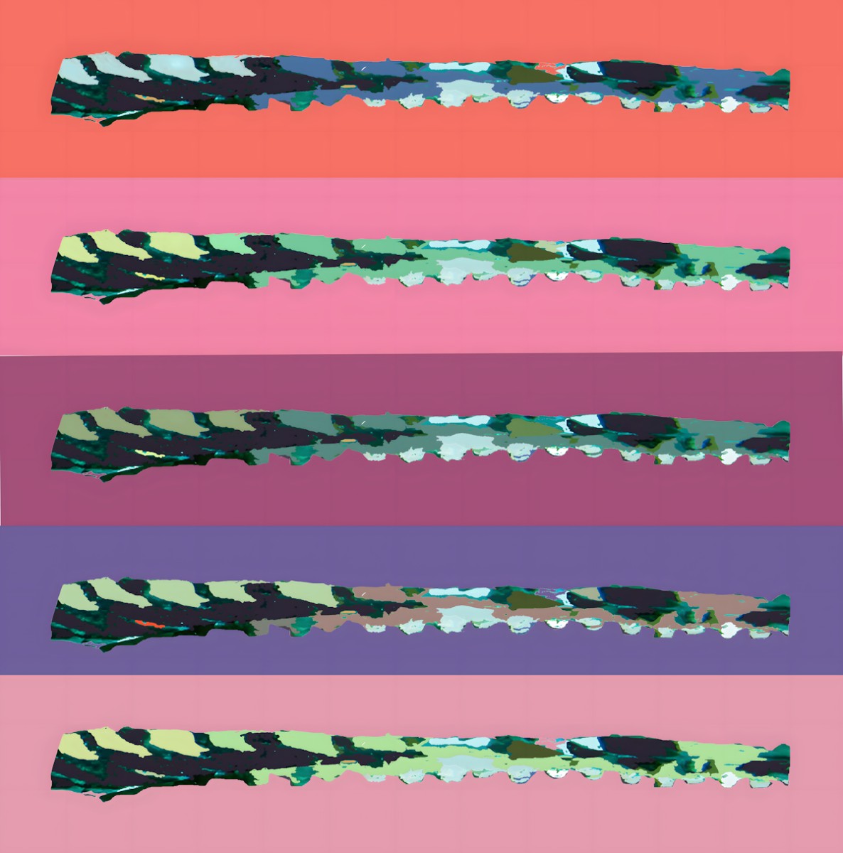 pascal_maupas octopusvariation1 theartcycle photo_principale 2133221460.jpeg The Art Cycle