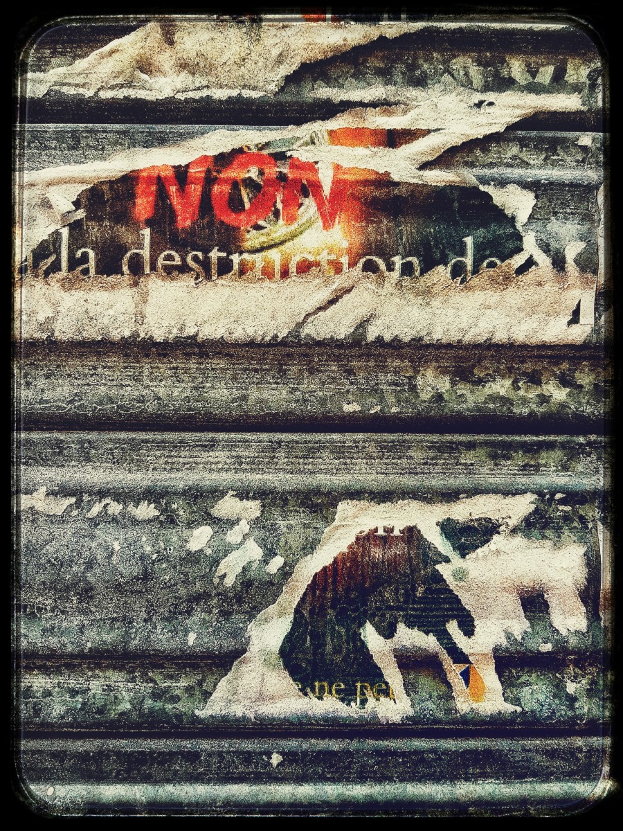 Non, de Philippe Yvon The Art Cycle