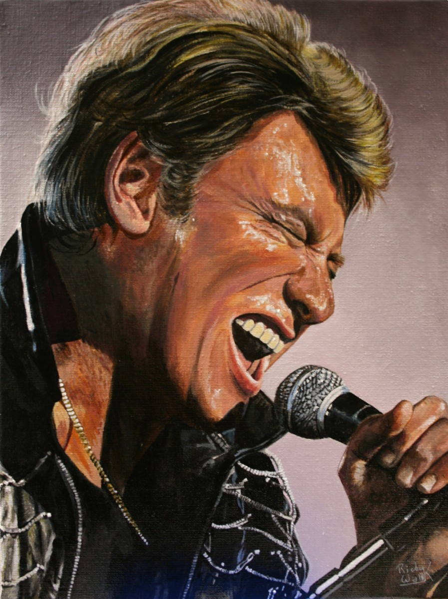 Johnny Hallyday 2, de Richy Wam K The Art Cycle