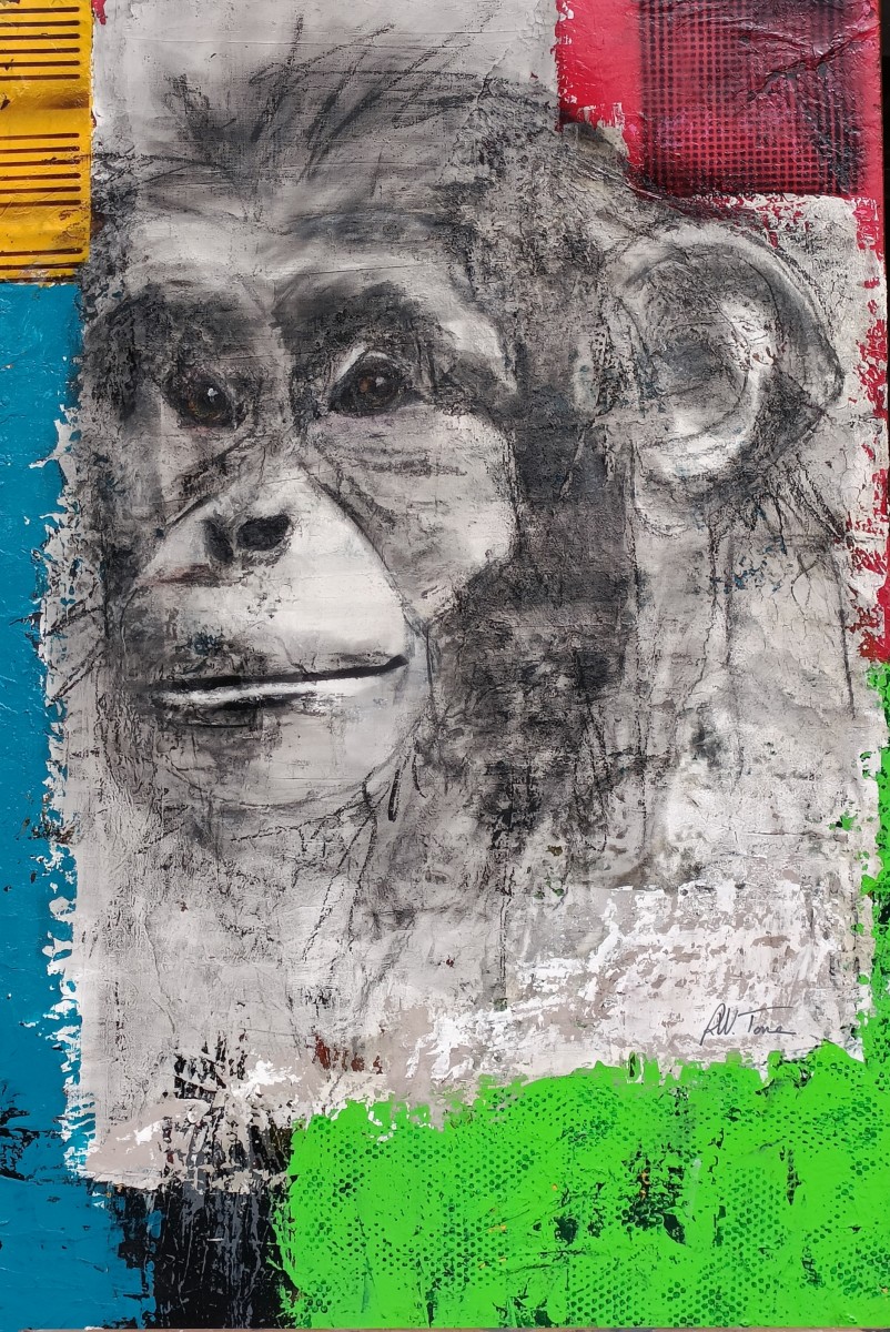 Chimpanzé Fusain, de Rose-Marie Torre Prost The Art Cycle