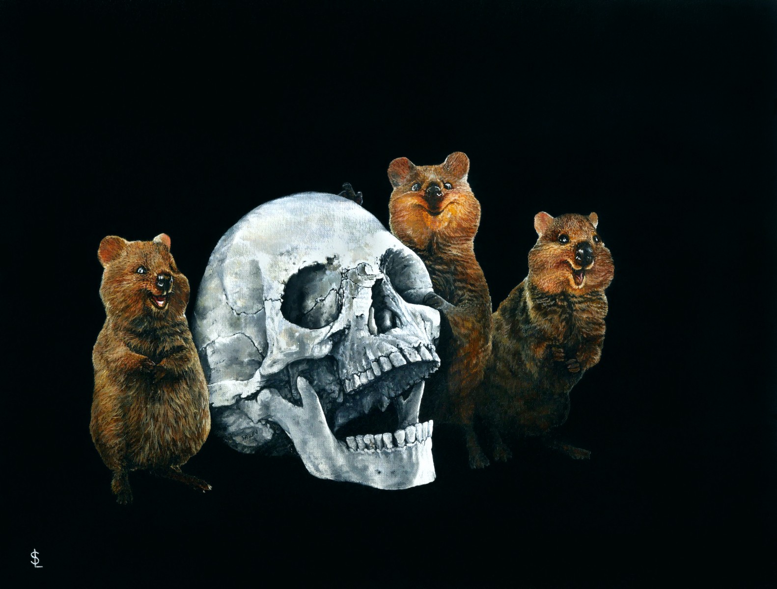 Setonix brachyurus, de Sailev The Art Cycle