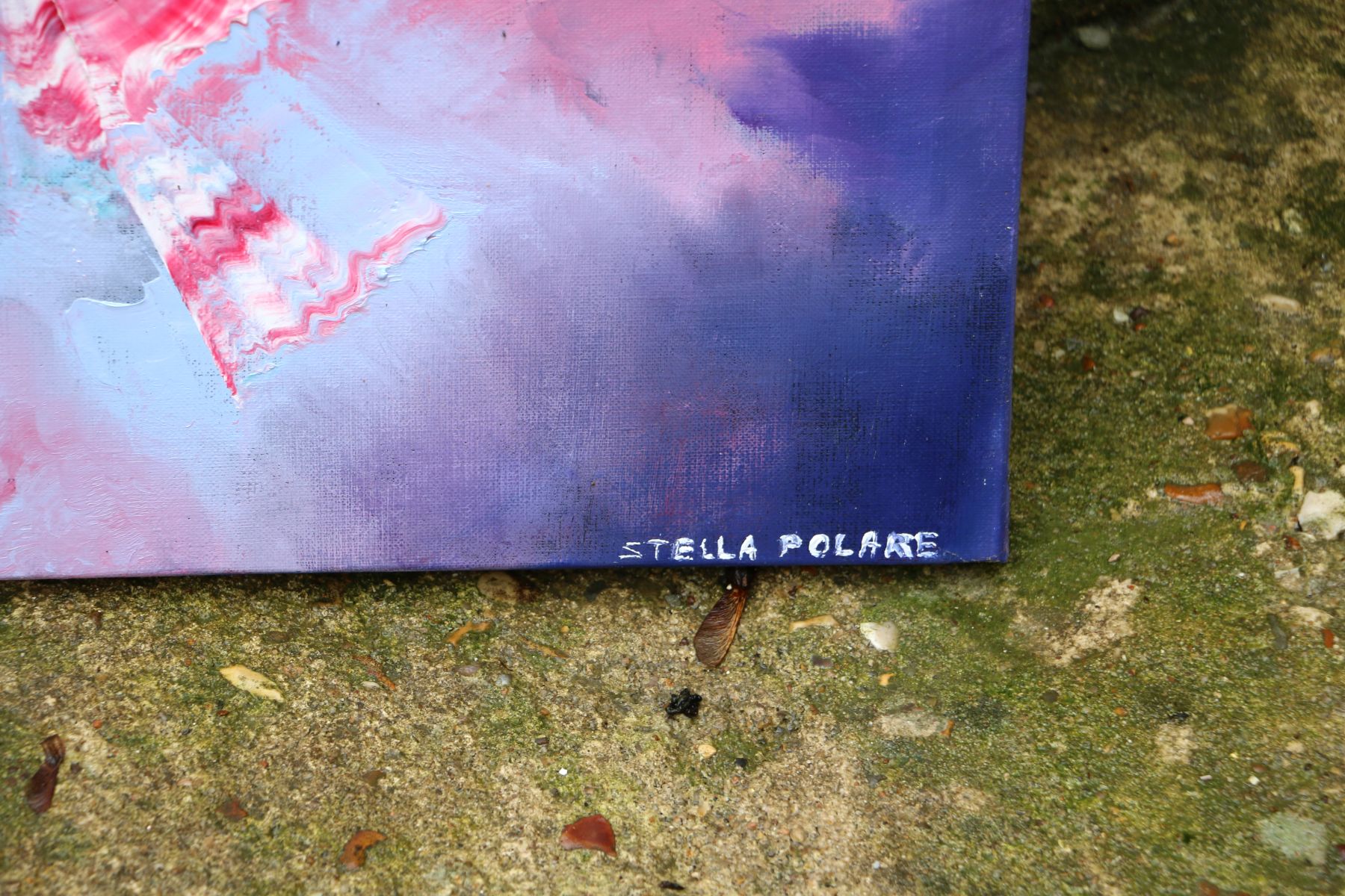 stellapolare urgencedejoien31parstellapolare theartcycle photo_secondaire 224693541.jpeg The Art Cycle