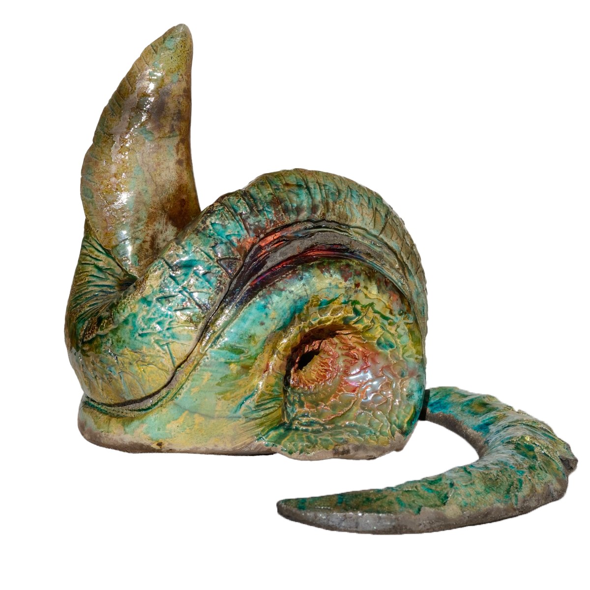 Nautilus, de Sylvie Laboux The Art Cycle