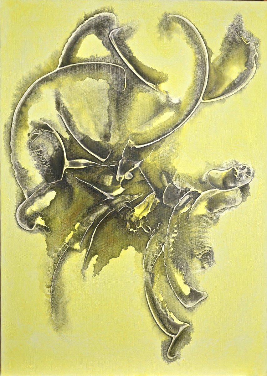 Abstraction 1346, de Thierry Deliveyne The Art Cycle