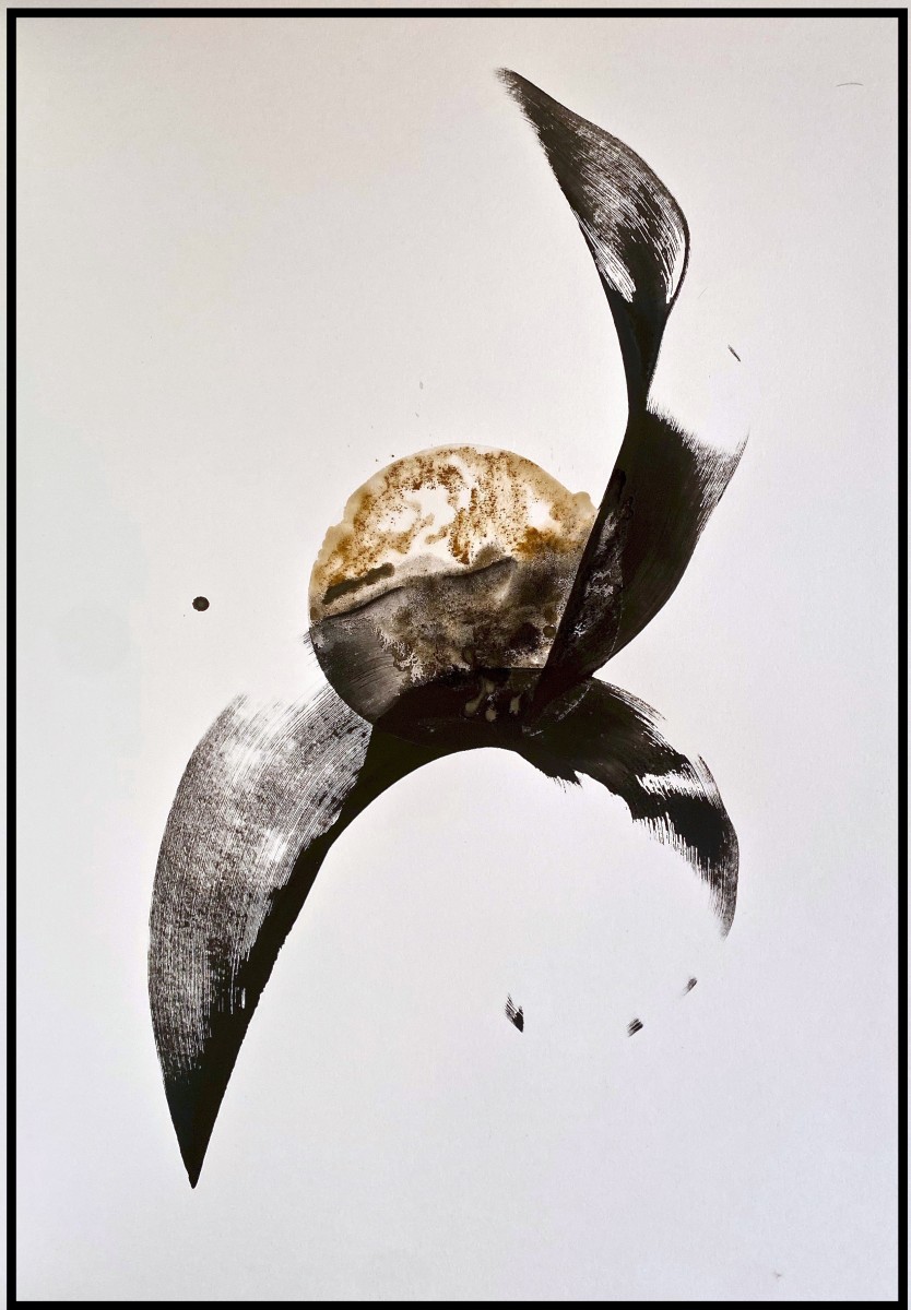 Chardo Viandrix Leo Jean Mi Petit II, de Thierry Moyne The Art Cycle