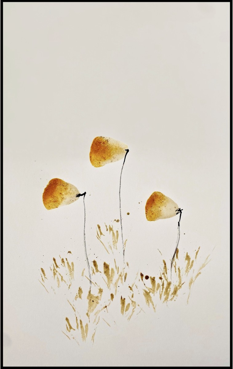 Fleurs de calcaire et vin jaune II, de Thierry Moyne The Art Cycle