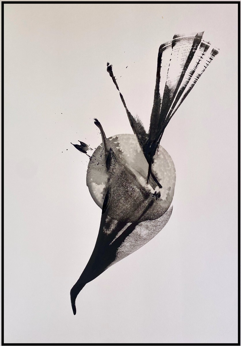 Hybride Rouge Valentin Morel, de Thierry Moyne The Art Cycle